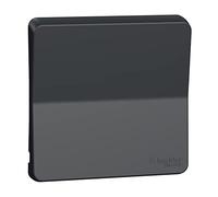 Schneider Electric - Mureva Styl - Enjoliveur avec symbôle sonnette - IP55 - IK08 - gris - MUR34201