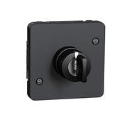 Schneider Electric - Mureva Styl - Interrupteur à clé 3 positions - composable - IP55 - IK08 - gris - MUR35061