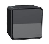 Prise terre étanche complet Mureva 1 poste gris Schneider