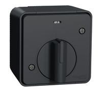 Schneider Electric - Mureva Styl, Interrupteur Temporisé LED, Saillie, IP55, IK08, Gris - MUR35067