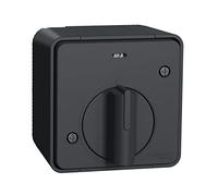 Schneider Electric - Mureva Styl, Interrupteur Temporisé LED, Saillie, IP55, IK08, Gris - MUR35067
