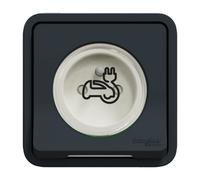 Schneider Electric - Mureva Styl - Prise courant 2P+T renforcee - encastre - IP55 - IK08 - EV - gris - MUR36011