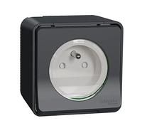 Schneider Electric Prise de courant Mureva Styl 2P+T à vis IP55 IK08 Saillie Gris