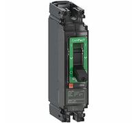 Schneider Electric NSX100N 25kA AC-DC 1P 100A TMD