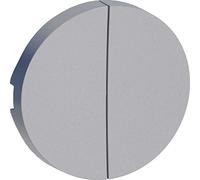 Schneider Electric - Odace Alu, enjoliveur seul double va-et-vient, double poussoir, vv + poussoir - S530614