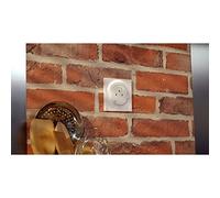 Schneider Electric - Odace - prise de courant 2P+T affleurante - connexion rapide, Antibacterien - S500052