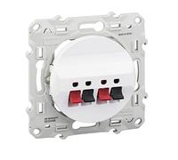 Schneider Electric - Odace, prise haut-parleurs Blanc, 2 sorties - S520488