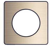 Schneider Electric – Plaque Odace Touch S540802L – Bronze brossé, liseré anthracite, 1 poste