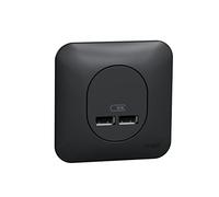 Schneider Electric - Ovalis - Double chargeur usb 2.1 A - Avec plaque de finition -Anthracite - S460407