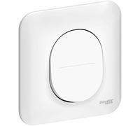 Schneider Electric - Ovalis - interrupteur simple allumage - 10AX - avec griffes avec plaque - S265202