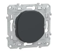 Obturateur 1 poste Ovalis Anthracite Schneider