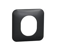 Schneider Electric - Ovalis - Plaque de finition - 1 poste - Anthracite - S460702