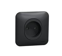 Schneider Electric - Ovalis - prise de courant - 2P - 16A-avec griffes Avec plaque -Anthracite - S465033