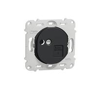 Schneider Electric - Ovalis - prise RJ45 - cat.6UTP - téléphone/informatique -sans plaque -Anthracite - S461475