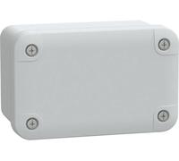 Schneider Electric - Thalassa - boîte industrielle - 116x74x62mm - ABS - NSYTBS1176