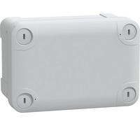 Schneider Electric PanelSeT TBS NSYTBS1397 Boîtier mural 93 x 138 x 72 ABS gris clair (RAL 7035) 2 pc(s)