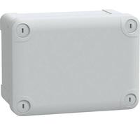 Schneider Electric PanelSeT TBS NSYTBS16128 Boîtier mural 121 x 164 x 87 ABS gris clair (RAL 7035) 2 pc(s)