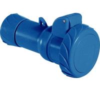 Schneider Electric PKY32M723 PKY32M723 Femelle CEE 32 A 250 V 1 pc(s)