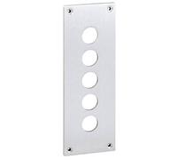 Schneider Electric Plaque de recouvrement 1 pc(s)