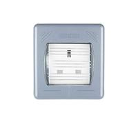 Schneider Electric Prise de courant extérieure unique sans interrupteur, certifiée IP55, 13 A, GWP3050, gris