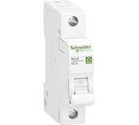 Schneider Electric R9F23120 Resi9 Disjoncteur 1P, 20 A, caractéristique B, 6 kA