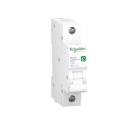 Schneider Electric Disjoncteur Resi9 R9F24110 1P 10 A Courbe C 6 kA