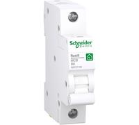 Schneider Electric R9F27106 Disjoncteur