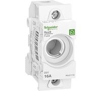 Schneider Electric R9J01116 Socle pour fusible 1 pc(s)