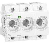 Schneider Electric R9J01316 Socle pour fusible 1 pc(s)