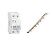Schneider Electric - Resi9 - interrupteur-sectionneur 2P 63A - R9PS263 & Peigne 13 modules noir/blanc longueur 220mm