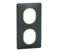 Schneider Electric S340724E Plaque 2 post Vert 71mm Ant Lt