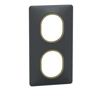 Plaque de finition 2 postes Schneider Electric Ovalis S340724E coloris anthracite avec liseré laiton l.87 x P.10 x H.158 mm