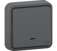 Interrupteur va-et-vient lumineux - SCHNEIDER ELECTRIC - MUREVA STYL - IP55 - 10 AX - Gris