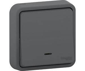 Schneider Electric SC5SHN0212458 Va et vient lumineux mureva Styl lumineux, 250 V, Gris