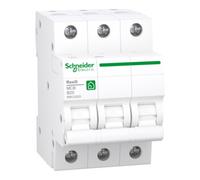 Schneider Electric Schneider Electric Disjoncteur 3P 25A B R9F23325 Quantité:1