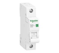 Schneider Electric Schneider Electric Disjoncteur unipolaire 1P, 25A, C R9F24125 Quantité:1