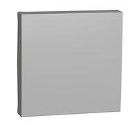 Schneider Electric - Unica - enjoliveur interrupteur ou bouton-poussoir - 2 mod - Alu - NU920030