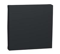Schneider Electric - Unica - enjoliveur interrupteur ou bouton-poussoir - 2 mod - Anthracite - NU920054