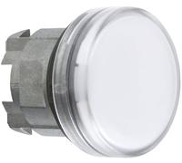 Schneider Electric Voyant lumineux 1 pc(s)