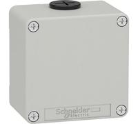 Schneider Electric XAPD11 Boîtier vide XAP métal gris sans trou - CSA, Bouton + interrupteur, Gris