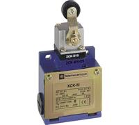 Schneider Electric XCKM115 ex OsiSwitch Métal Interrupteur de position format standard, levier à galet thermoplastique, tête rotative, 1NC+1NO, brusque, Pg11