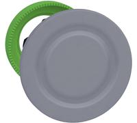 Schneider Electric ZB5FSCUST01 1 pc(s)