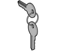 Schneider Electric ZBG455 ZBG455 Key 1 pc(s) Piece