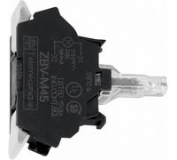 Schneider Electric ZBVB15 Élément LED avec culot d'ampoule blanc 24 V/DC, 24 V/AC