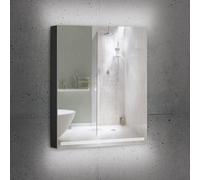 Schneider GRACE Armoire de toilette, 1 porte, 116.462.02.41, GRL 60/1/TW/R