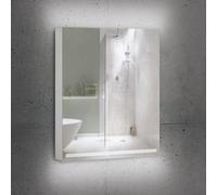 Schneider GRACE Armoire de toilette, 1 porte, 116.462.02.50, GRL 60/1/TW/R