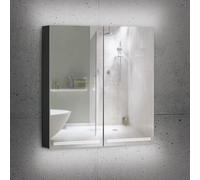 Schneider GRACE Armoire de toilette, 2 portes, 116.470.02.41, GRL 70/2/TW