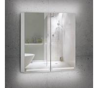 Schneider GRACE TW Armoire de toilette avec éclairage, 2 portes 35/35cm, 695x120x700mm, intensité lumineuse variable, 2000-6500K, 116.470.02.50, Exécution: norme UE/corps argent anodisÃ©