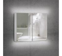 Schneider GRACE Armoire de toilette, 2 portes, 116.500.02.50, GRL 100/2/TW