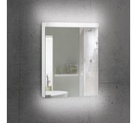Schneider LOW plus Armoire de toilette, 1 porte, 172.052.02.02, LOP 50/1/LED/R